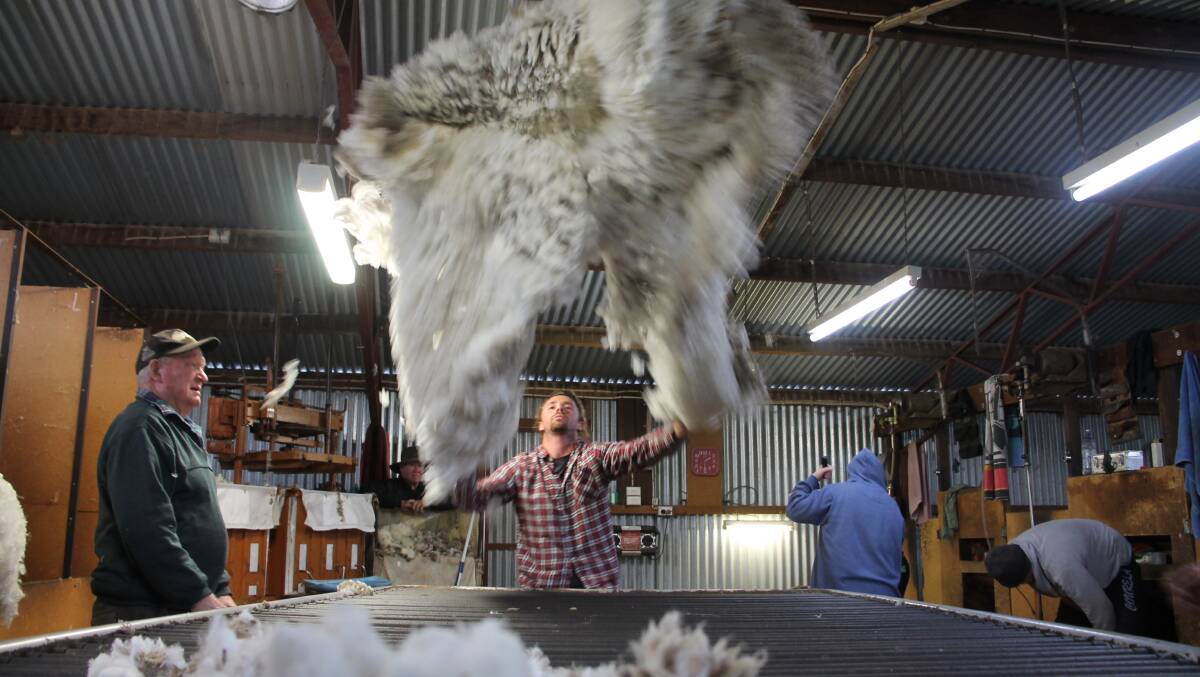 The wool market last week showed some resilience despite the obvious unprecedented challenges. 