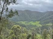 The up and down nature of the Upper Macleay catchment, bisected by power lines, makes it ideally suited to a pumped hydro energy storage project.