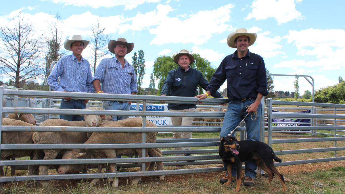 Tally Ho Ben made $22,000 for breeder Michael Clark, Armidale, with buyer Mark Flagg, Barellan and RMA sale organisers Steve Daley and Shad Bailey of Colin Say & Co..