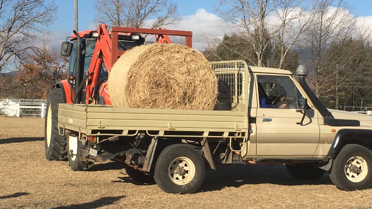More hay bales for local farmers