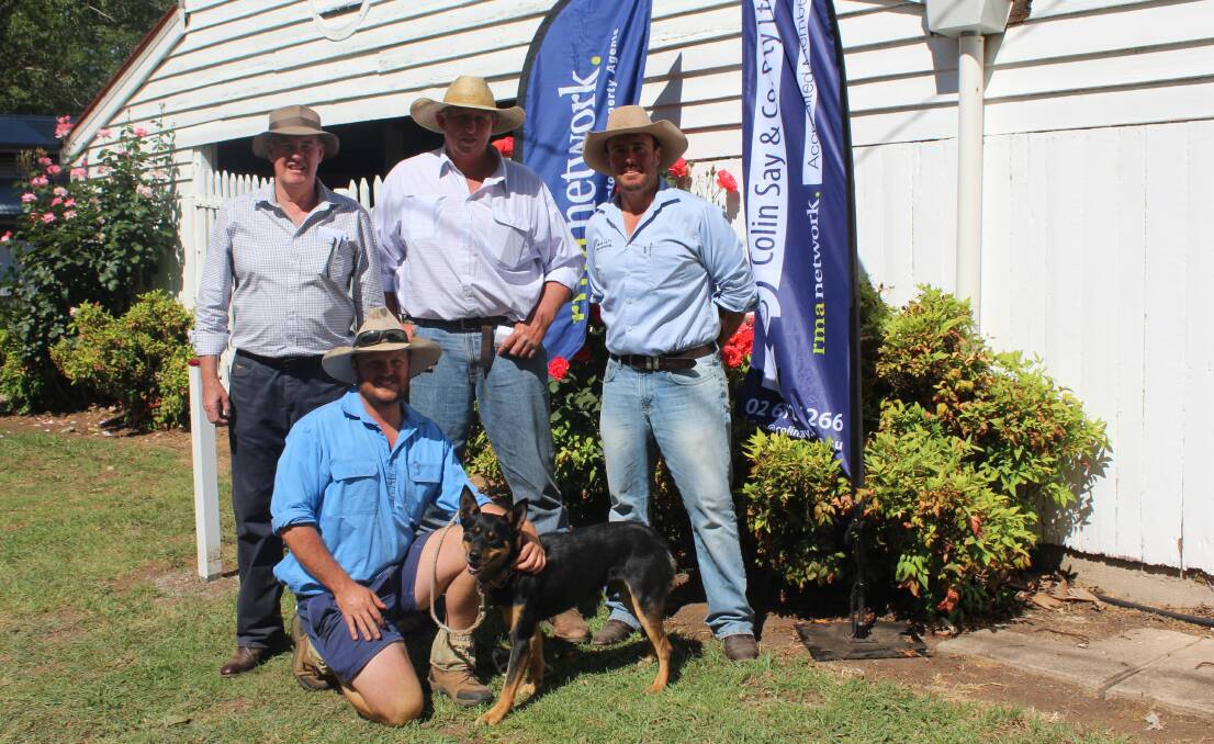 RMA Network's John Peden, vendor Tim Mackie, Colin Say & Co's Shad Bailey and (at front) purchaser Aaron Jones with the top-priced dog Harris Farm Jimmy.