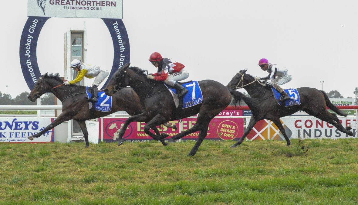 HOPEFUL: Peter Sinclair's Moree Dreaming crossing first in his last start over 2100m. Photo: Bradley Photographics. 