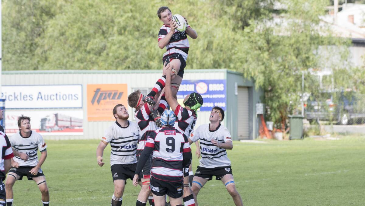 Baa Baas search for first victory against an unbeaten Tamworth