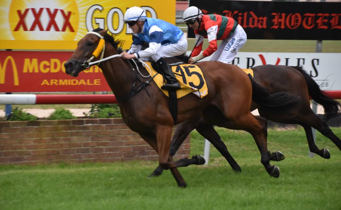 BACK AGAIN: Last year's Armidale Cup winner Carry On Jake was nominated for this year's 1900m race. 