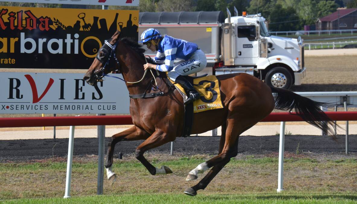 UNDER THREAT: Scotty Be Gotti races home to win last year's Armidale Cup. This year's meeting is in danger of being transferred or called off due to the ongoing dry conditions.