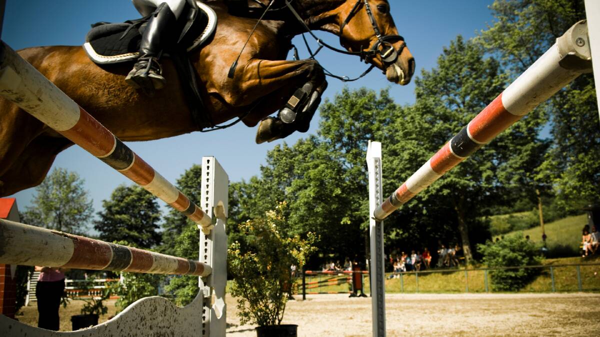 Equestrian body says they dealt with conflict of interest in Olympic team selection