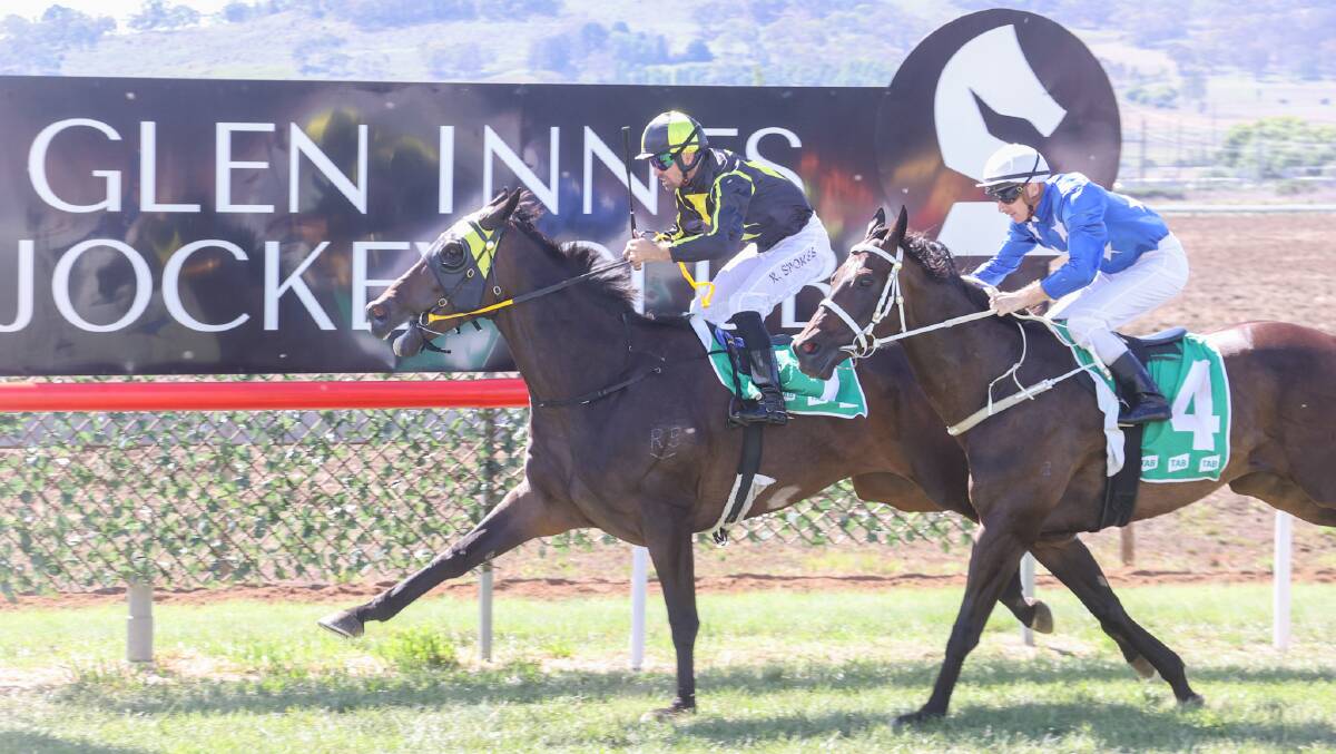 Mister Smartee beats Zaidin to the line in Saturday's Glen Innes Cup. Picture by Bradley Photographers. 