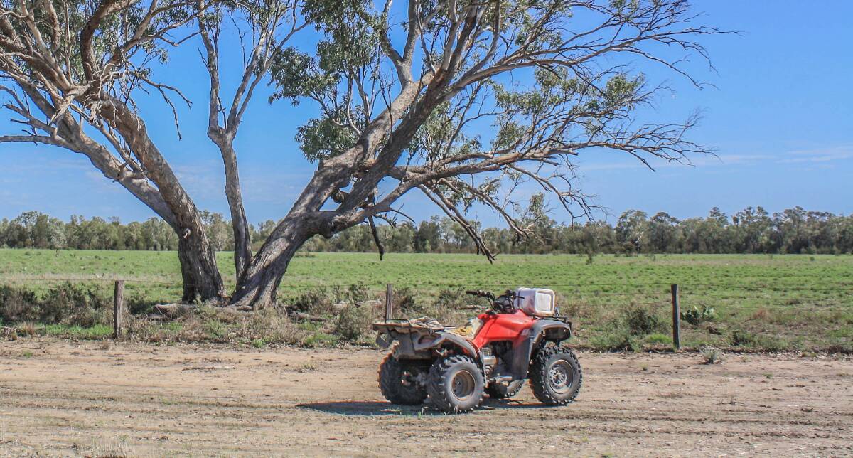 Quad bikes are still one of the leading causes of fatalities and injuries on Australian farms. Photo: Shutterstock 