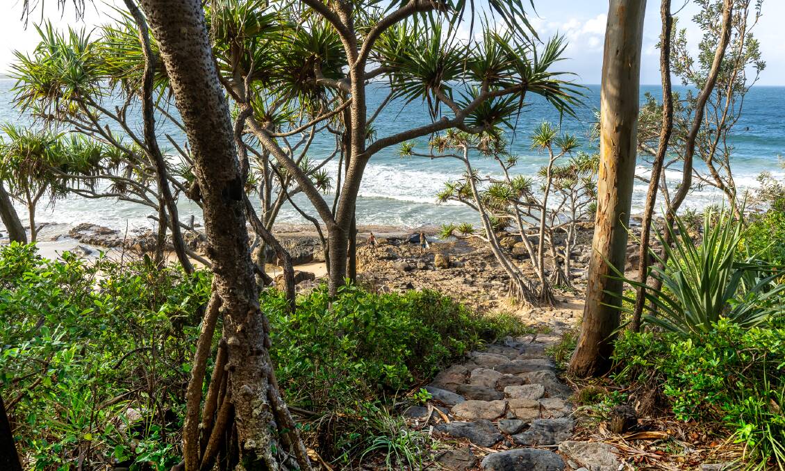 There are five main walking trails through Noosa National Park. Pictures: Michael Turtle 