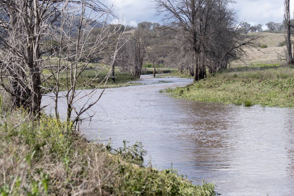 FLOWING: The Peel River got a good flow going into Chaffey Dam after rainfall in the Nundle area, but dropped back down quickly. Photo: Peter Hardin