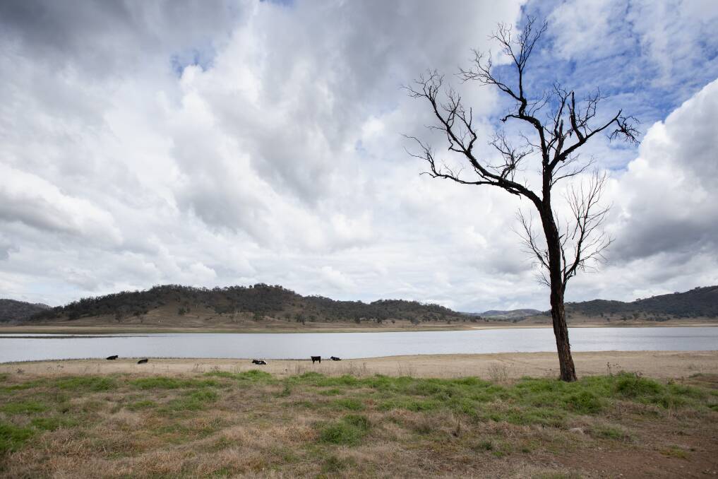 ON THE UP: Chaffey Dam has risen in capacity during the past week as Tamworth's water continues to be drawn from the Peel River. Photo: Peter Hardin, file