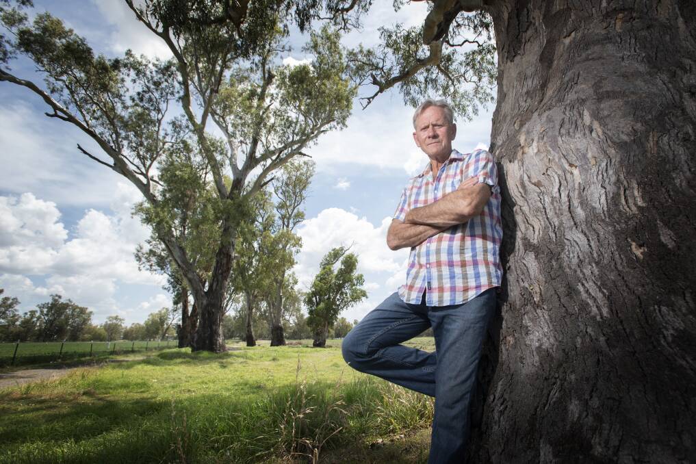 CONCERNED: David McKinnon said he's concerned an access road from Calala to Armidale Road would put these old gum trees at risk. Photo: Peter Hardin