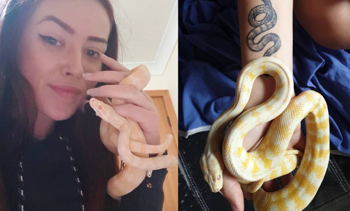 MISSING: Josey Mehrton wants her pet python Eric back home, after he went missing on Sunday night. Photos: Supplied
