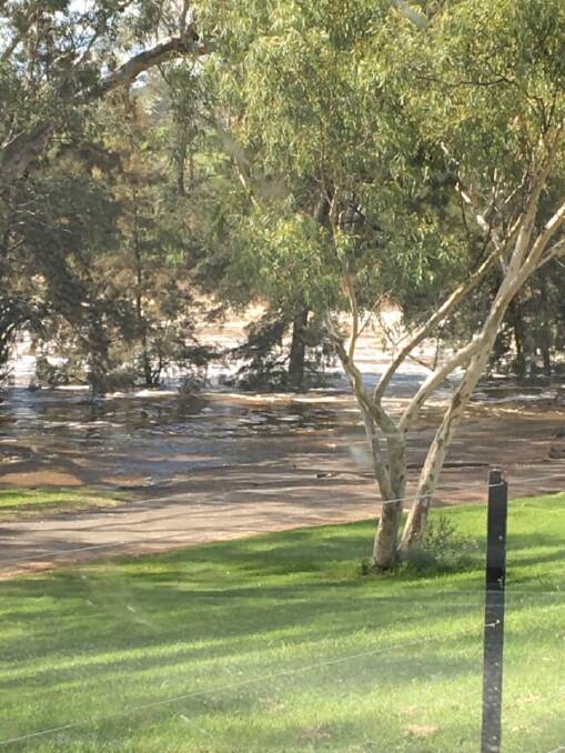 SWOLLEN: There is a minor flood warning in place for the Namoi River. Photo: Manilla SES