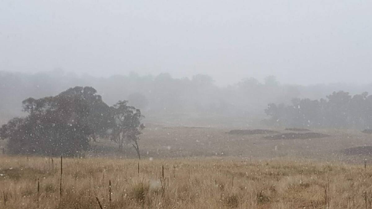 WINTRY WEATHER: Snow has started to fall in Walcha. Photo: Troy Atkins