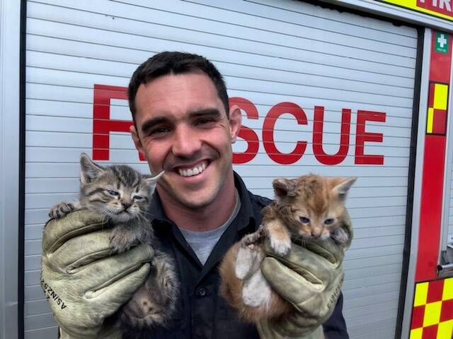GET MEOW-T OF HERE: Tamworth firefighters successfully rescued kittens after they became trapped in a roof. Photo: Fire and Rescue NSW