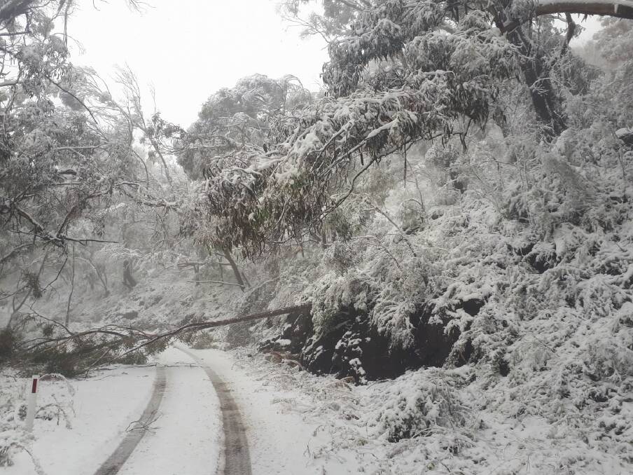 ROADS CLOSED: Mount Kaputar was blanketed in snow after heavy falls this week. Photo: NSW Government