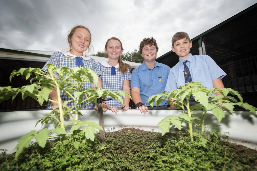 SUSTAINABLE SCHOOLS: Ruby Woods, Ella Wilson, Louis Henry and James Wise from Tamworth Public School. Photo: Peter Hardin 090320PHB003