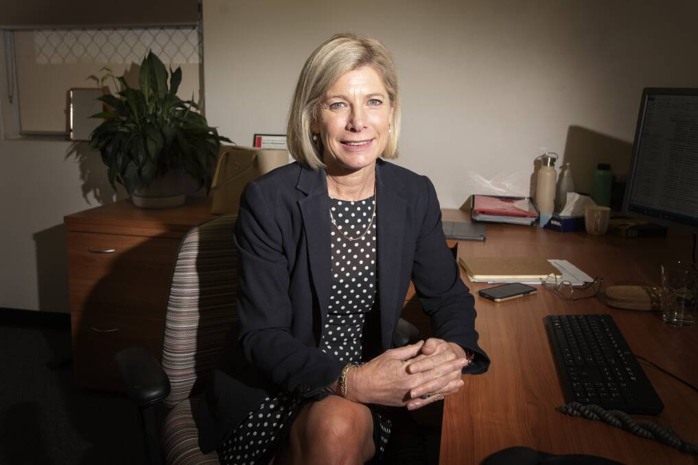 TELEHEALTH SUCCESS: Hunter New England Health executive director of rural and regional health services Susan Heyman said the service will expand its use of telehealth. Photo: file, Peter Hardin