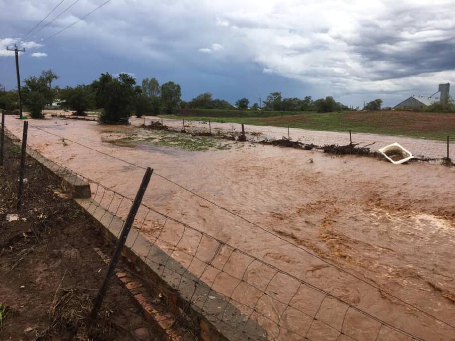 An Alpacca was killed by rising flood waters yesterday. 