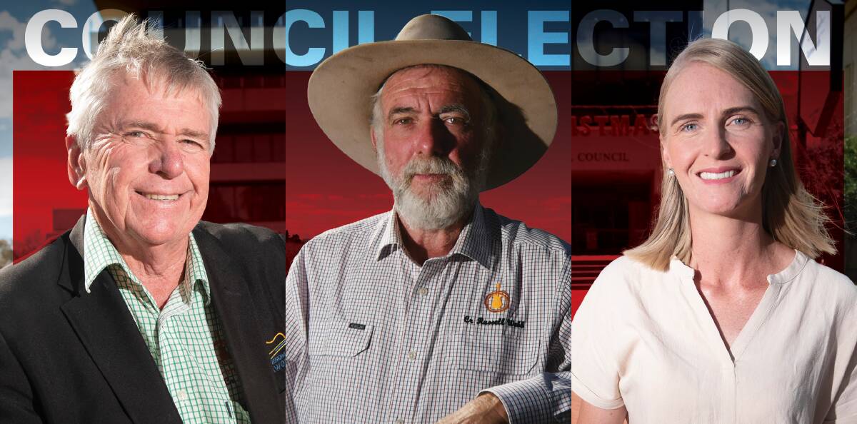 COUNCIL BATTLE: A surprise candidate has put her hand up for Tamworth deputy mayor, as at least two councillors prepare to jostle for the top job. Photo: Gareth Gardner, Peter Hardin