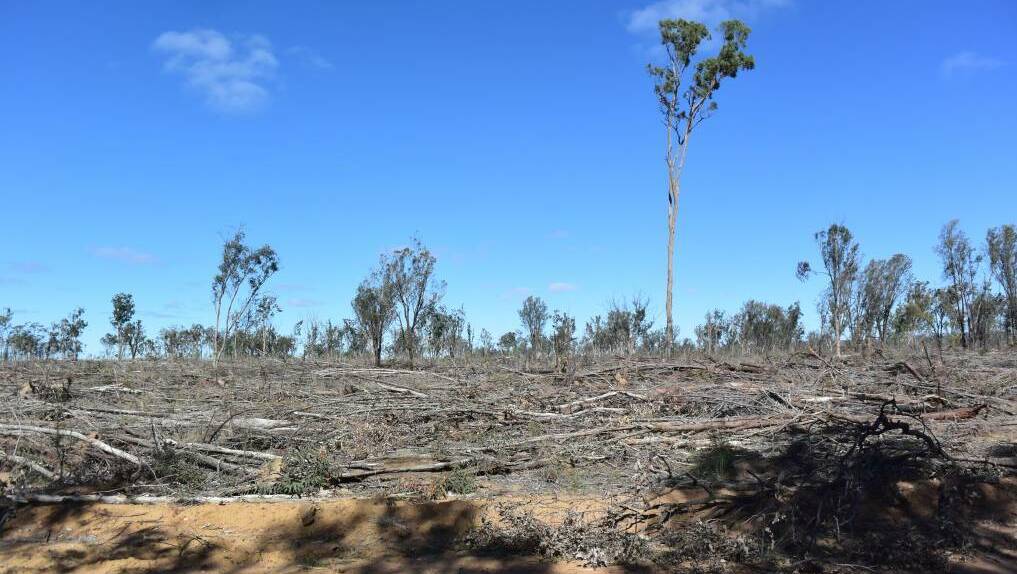 FLATTENED: The North West region was the state's busiest in terms of land clearing. But NSW Farmers President James Jackson said the figures only told one side of the story. Photo: file