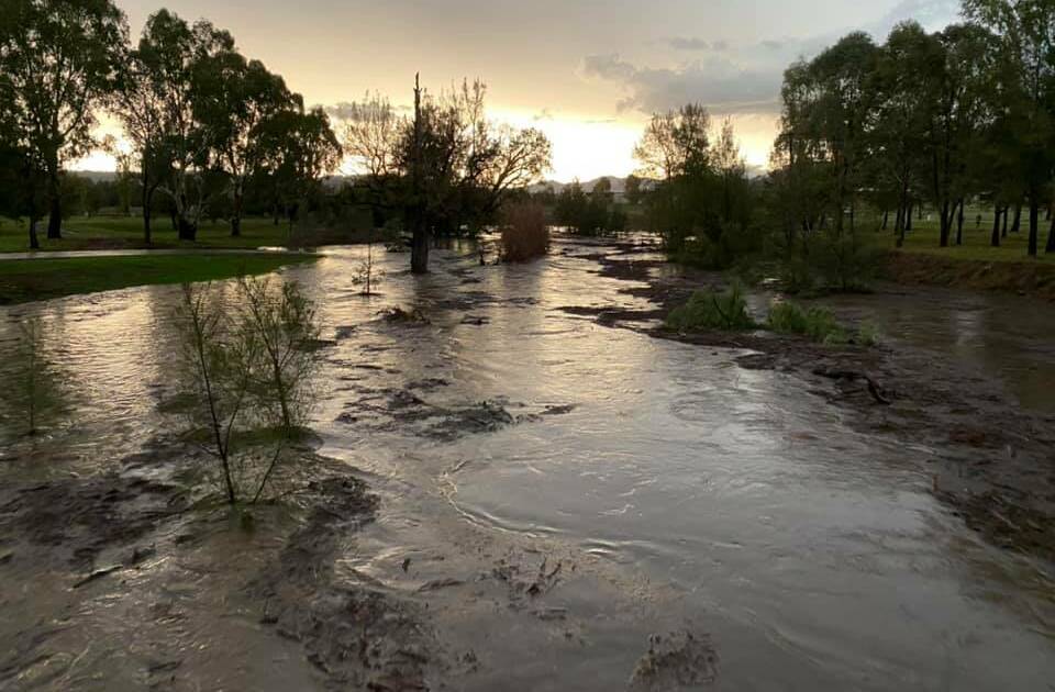 The Peel river in full flood. Everything from plastics to vegetion goes straight into the Peel from Tamworth's storm water system.
