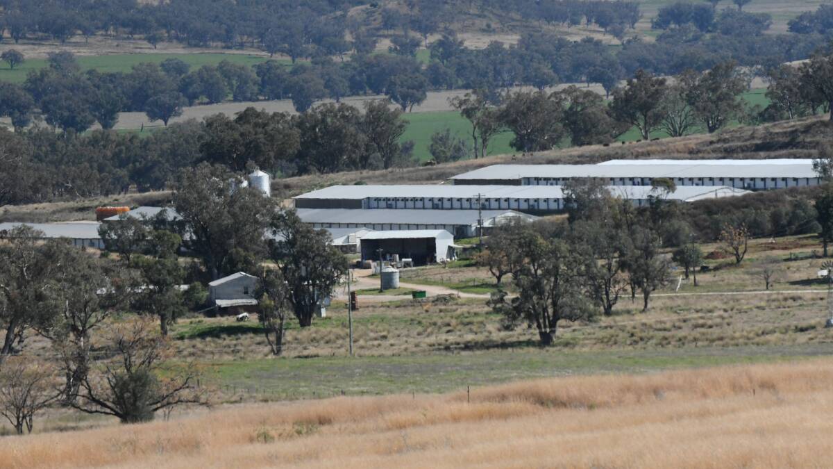 CHICKEN BOOM: Fairfax-owned Fairglen Farms plans to nearly double the size of this property, formerly known as Kerribee, near Manilla. Photo: Gareth Gardner 