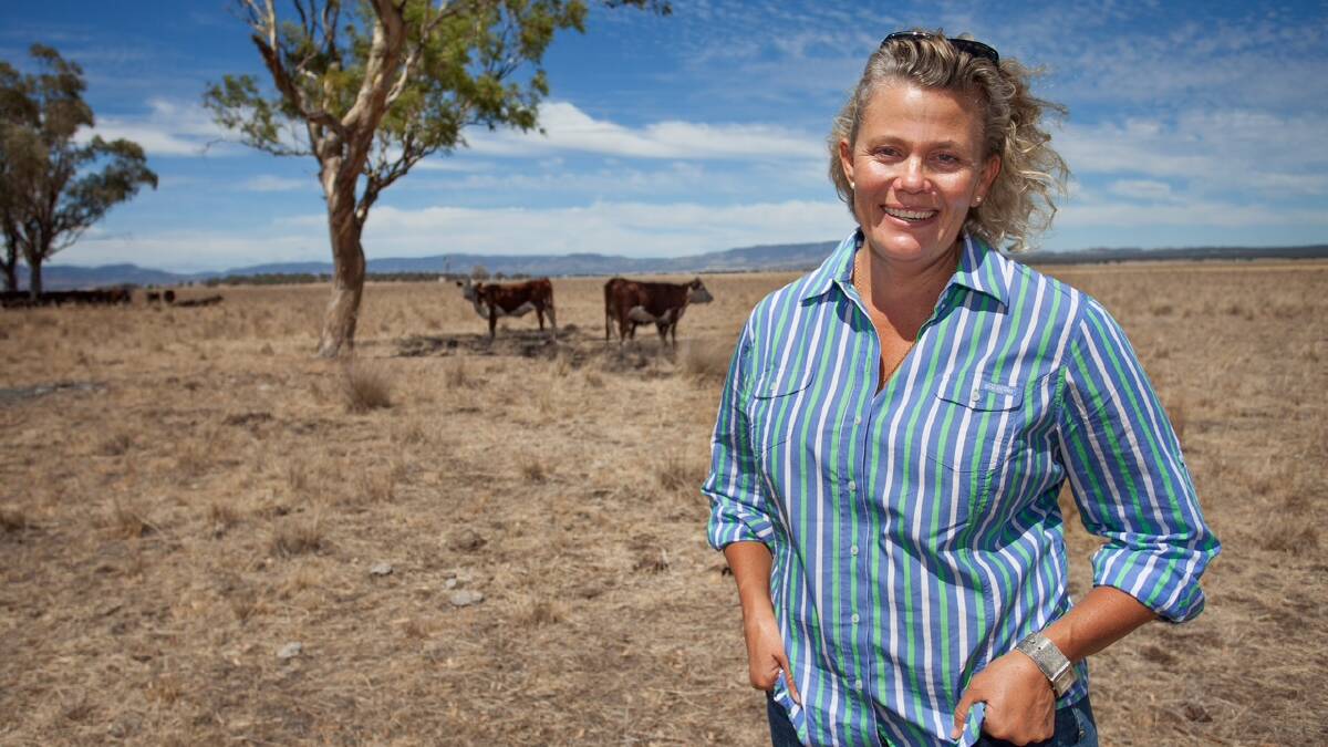 CRISIS: Liverpool Plains farmer Fiona Simson, president of the National Farmers Federation, used a parliamentary inquiry to call for healthcare reform. Photo: Contributed