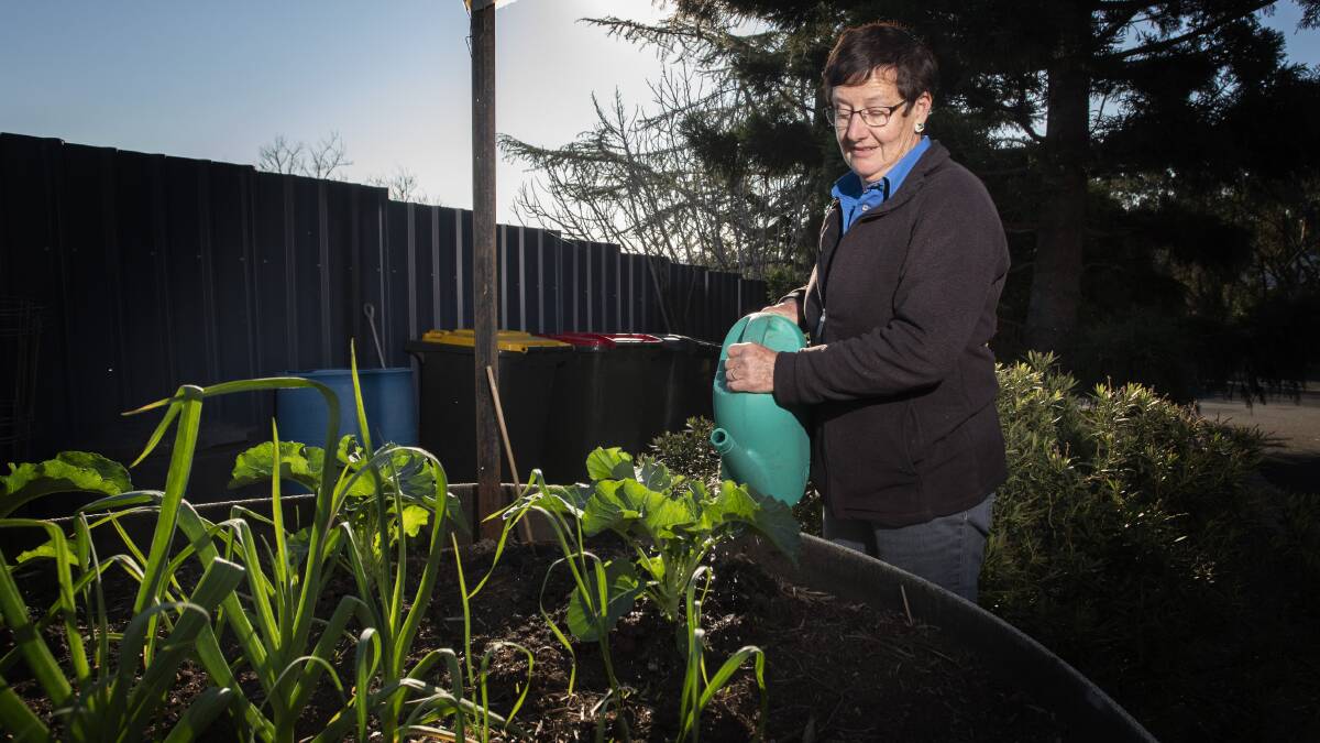 FINE DROP: Tamworth Cottage Gardeners President Sandra Holmes said the imminent drop in water restrictions to level 4 are a sign of hope for struggling gardeners, but little else. Photo: Peter Hardin