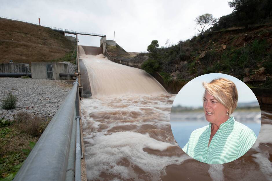 FREE WATER: Melinda Pavey said the "cost burden" of building the new Dungowan dam won't be put on farmers or irrigators in Tamworth. Photo: file, Peter Hardin