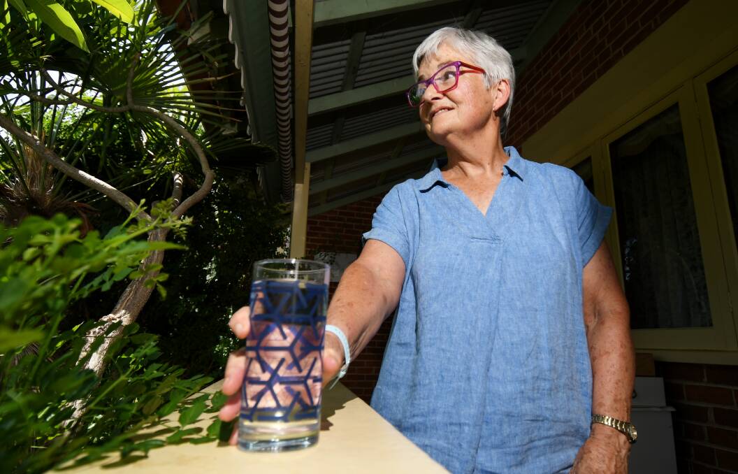 MEDICAL EMERGENCY: Retired Tamworth Doctor Lyn Allen said the city needs more doctors, more nurses and more beds. Photo: file 