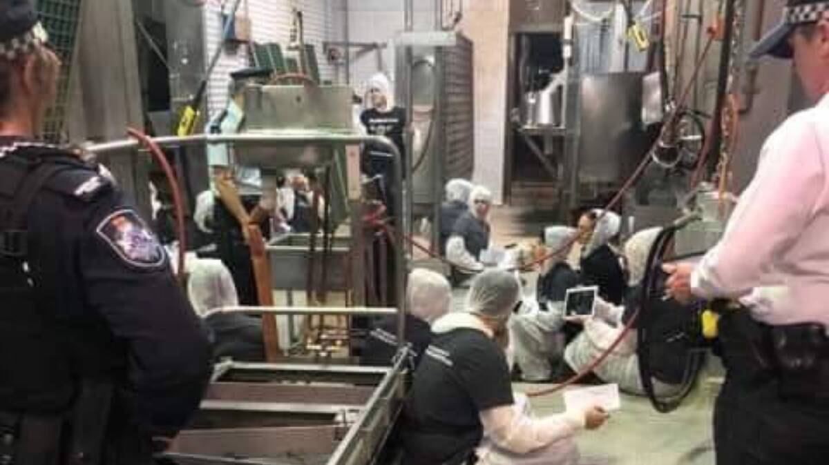 Protesters inside the Carey Brothers abattoir at Yangan in April. Picture: Nathan Andrews, Facebook