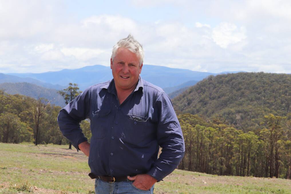 Northern Tablelands Poll Hereford stud owner Richard Ogilvie, Westwood, on cleared land he's been able to use for production for the first time after he secured a plan under the new NSW native vegetation code.
