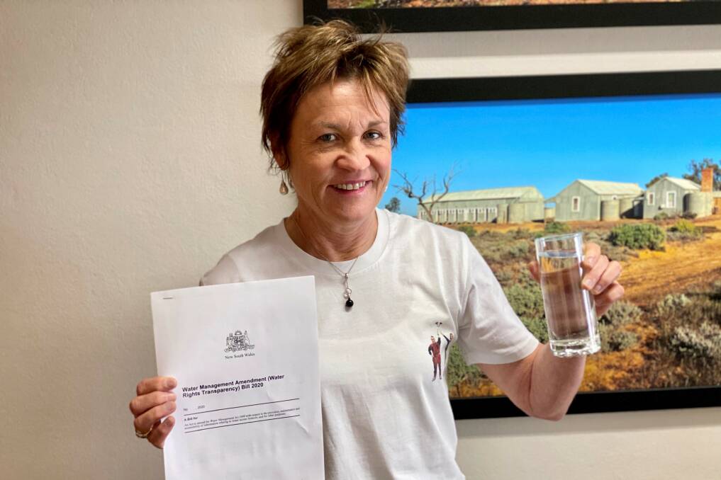 SHOT DOWN: Member for Murray Helen Dalton before the NSW government voted to keep water ownership secret on Thursday. Photo: Contributed 