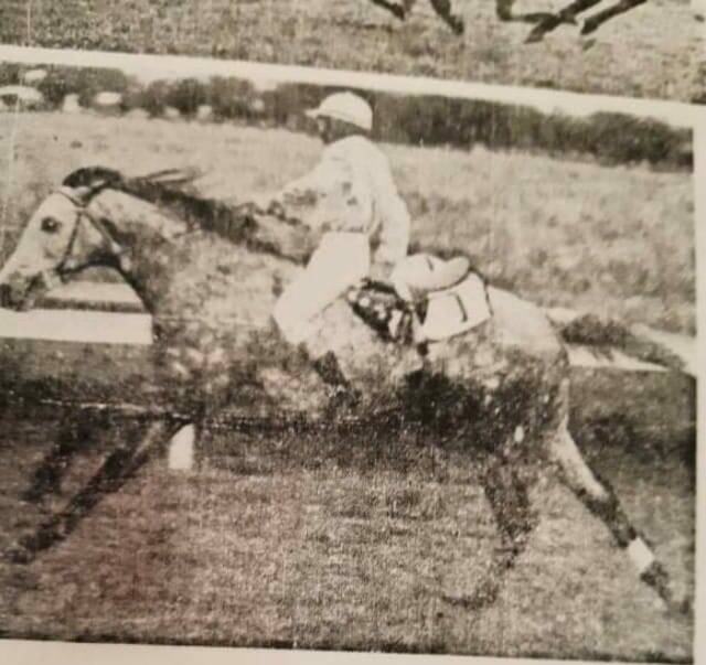 Danny Frahm won on Housemaster at Tamworth trained by Geoff Smith, owned by Dickie White from Barraba. Danny won the race bareback while hanging onto the saddle behind him in 1971. The Clerk of the course was Johnny Sutton, a great rodeo man in his own right, as he helped Danny pull the horse up he said 'gee ole cowboy, you would win the bareback ride at the Royal Easter with that ride.