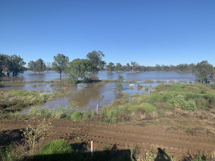 FLOODED: One of the flooded cotton fields. Photo: Supplied 