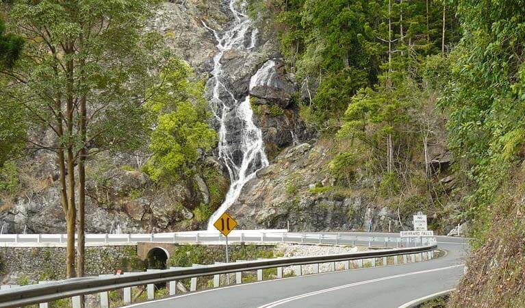 SAFETY OVERHAUL: A section of Waterfall Way will undergo a big safety upgrade starting next week. Photo: National Parks NSW