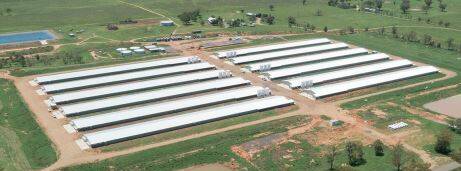 EXPANDING: ProTens poultry broiler farm at Bective, outside of Tamworth. Photo: Supplied 