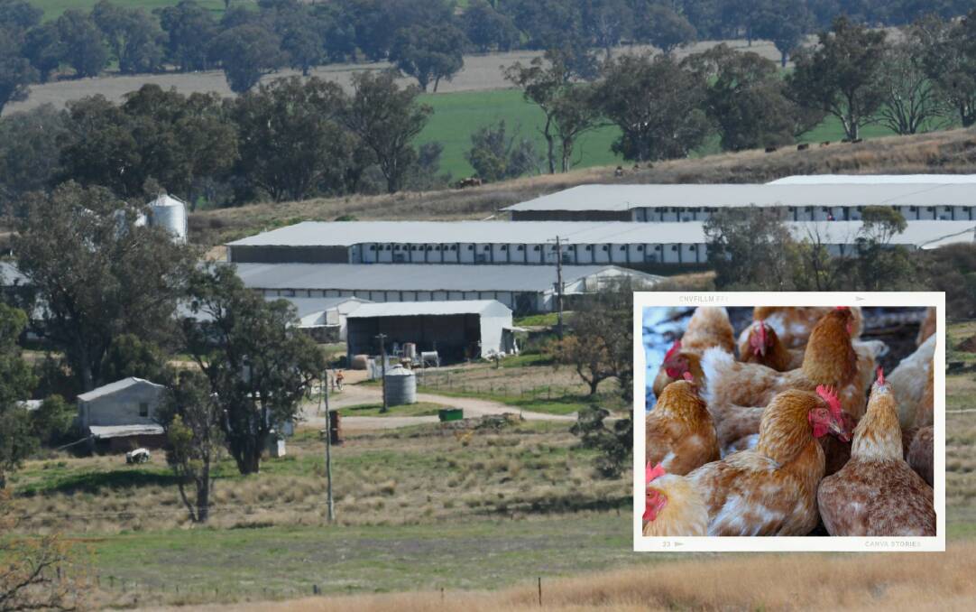 EXPANSION: The Fairglen Farms owned chicken broiler property near Manilla has been given the green light to expand. Photo: Gareth Gardner, file