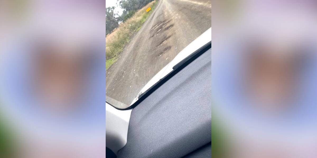 FED UP: Potholes are just one of the issues facing users of Duri-Wallamore road. Photo: supplied
