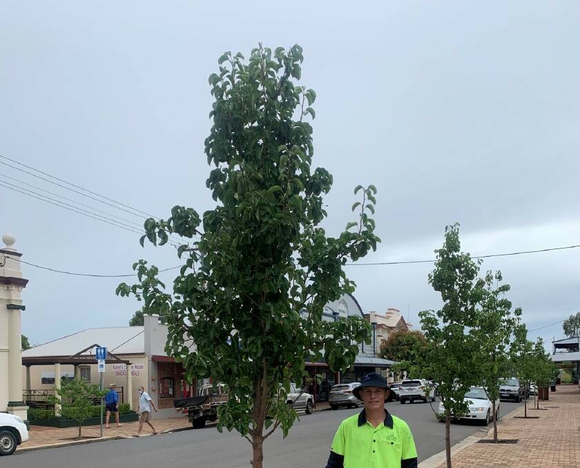 NEW TREES: Banjo Riley from Warialda outdoor staff was part of the major new tree-planting effort. Photo: supplied