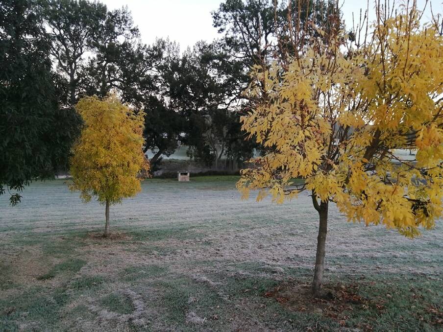 COOL CONDITIONS: Frost has been a common sight for months already this year with almost double figures of freezing nights already being reached. Photo: Dave Farrenden, file.