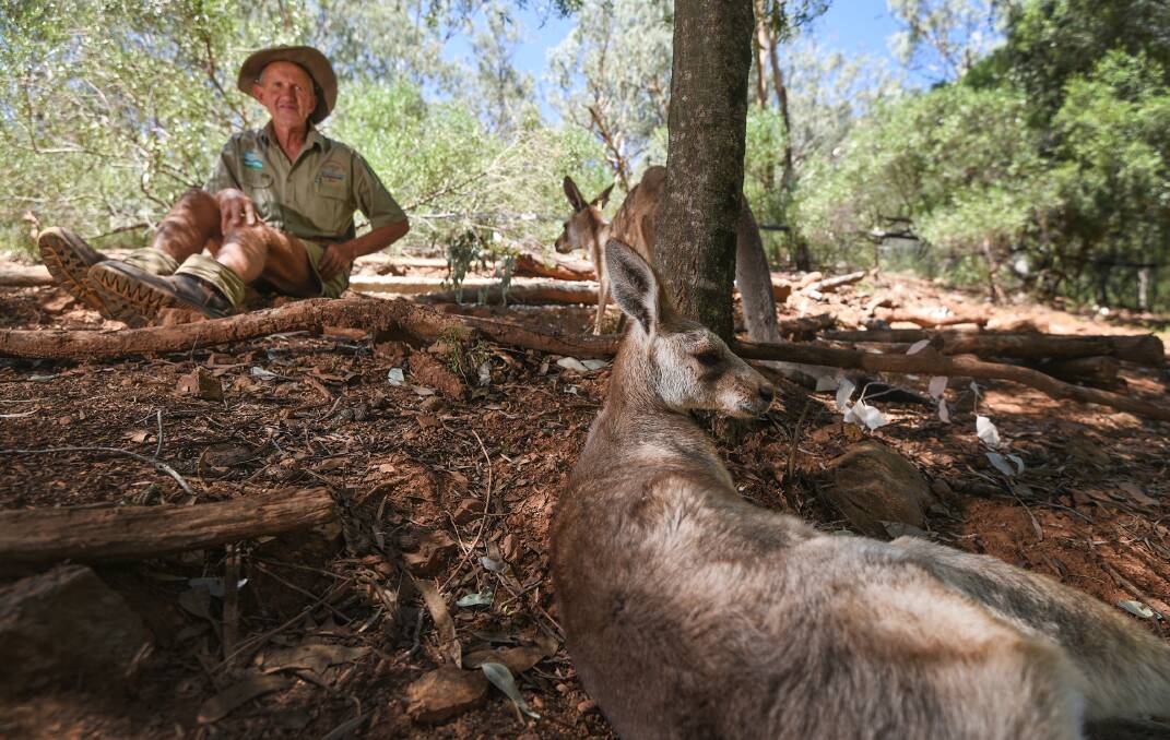 GONE: Former Friends of Tamworth Marsupial Park president John McDarmont. Photo: Gareth Gardner, file.