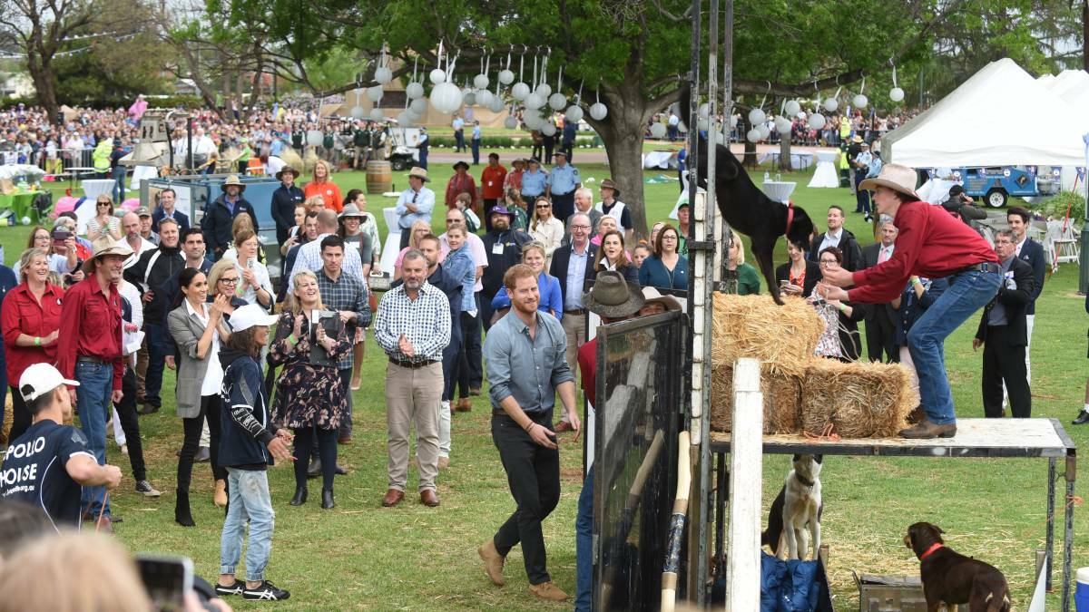 APPLAUSE: The crowd went wild at Picnic in the Park in Dubbo when Prince Harry gave BackTrack's dog highjump a go. Photo: Dean Lewins 