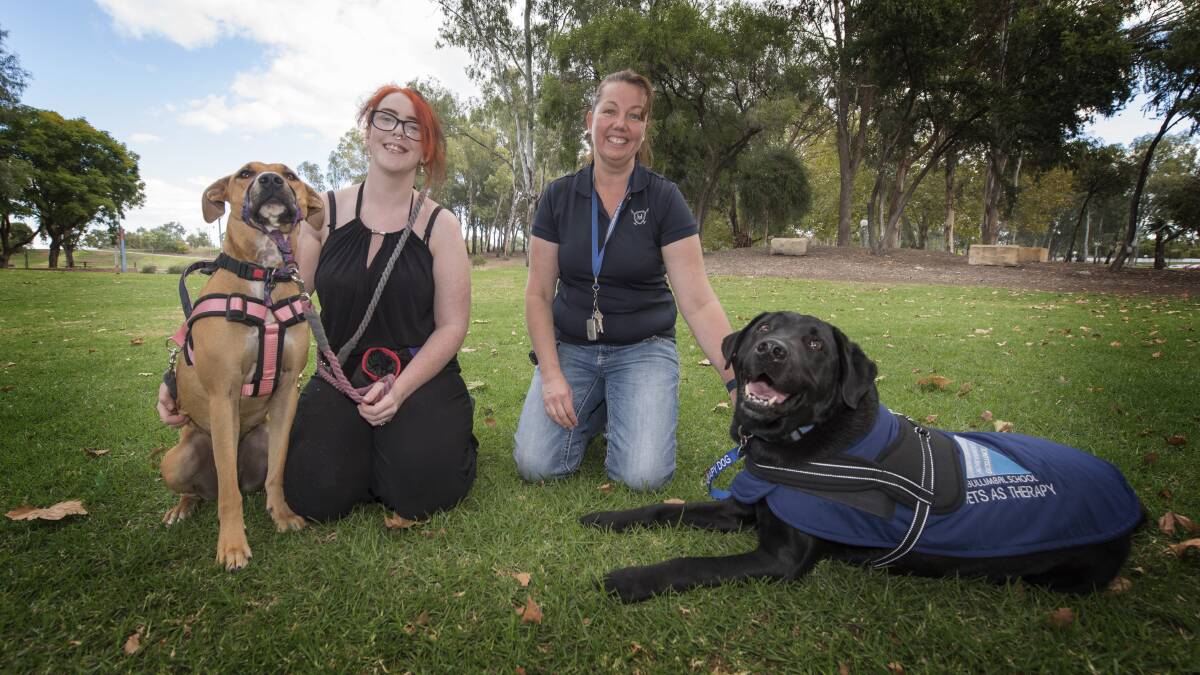 FURRY FRIENDS: Service dog Lucy with owner Courtney Dockrill, and Katrina Webb with therapy dog Wyman. Photo: Peter Hardin 140519PHD055