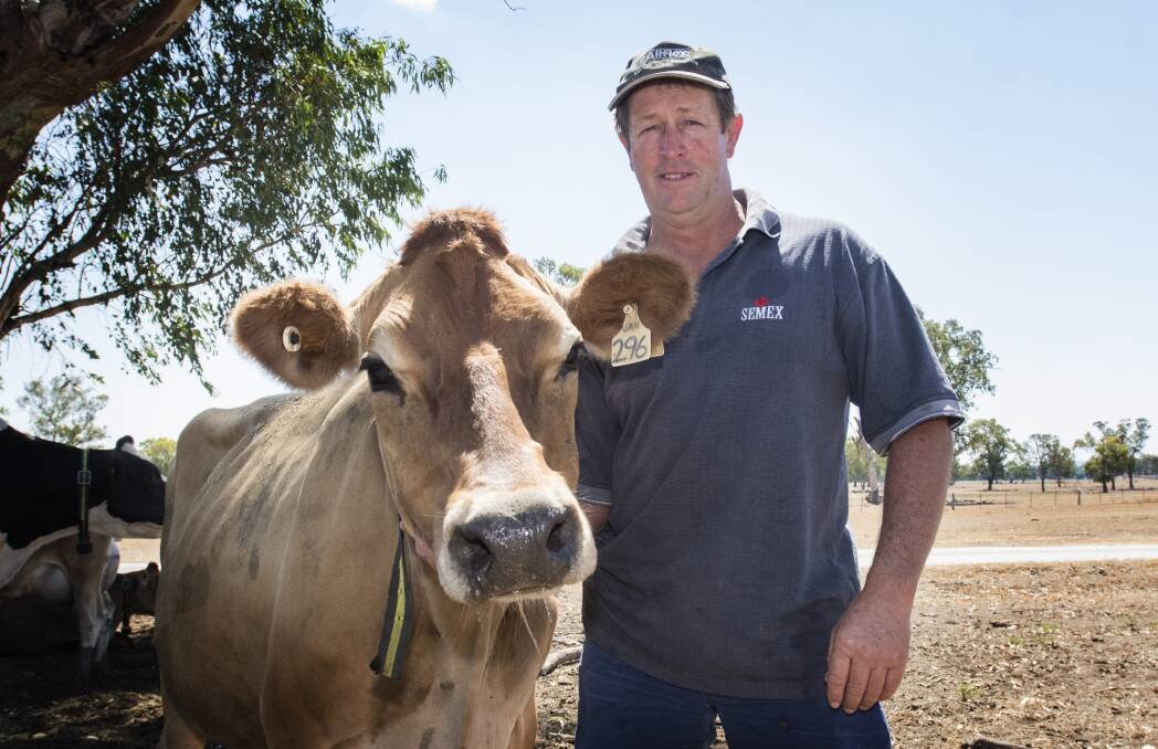 WIN FOR FARMERS: Tamworth dairy farmer Ken Atkins commended supermarket giant Woolworths for axing $1 per litre milk. Photo: Peter Hardin