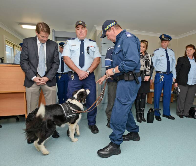 LINE UP: A sniffer dog searches a group of willing volunteers, including local MP Kevin Anderson in 2014. Photo: File