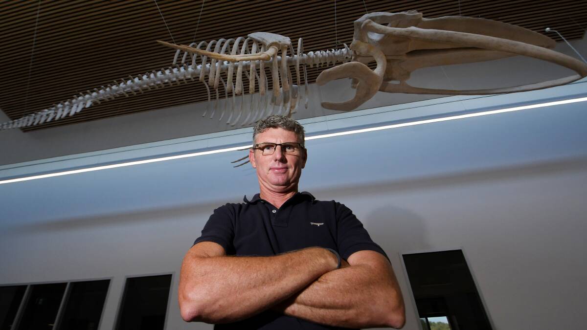 WHALEY COOL: Calrossy Anglican School science and engineering teacher Todd McDonald with the replica blue whale skeleton. Photo: Gareth Gardner 120121GGB01