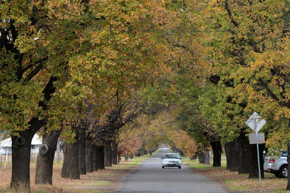 ROAD TRANSFER: Tamworth Regional Council has voted to take five roads near King George V Avenue into its ownership. Photo: File